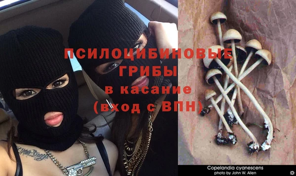spice Навашино