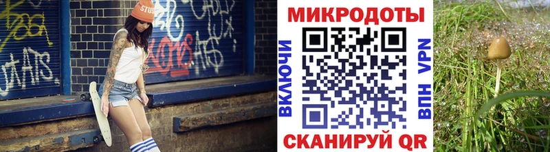 что такое   hydra tor  Галлюциногенные грибы MAGIC MUSHROOMS  Сенгилей 
